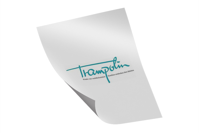 Projekt Trampolin Logo